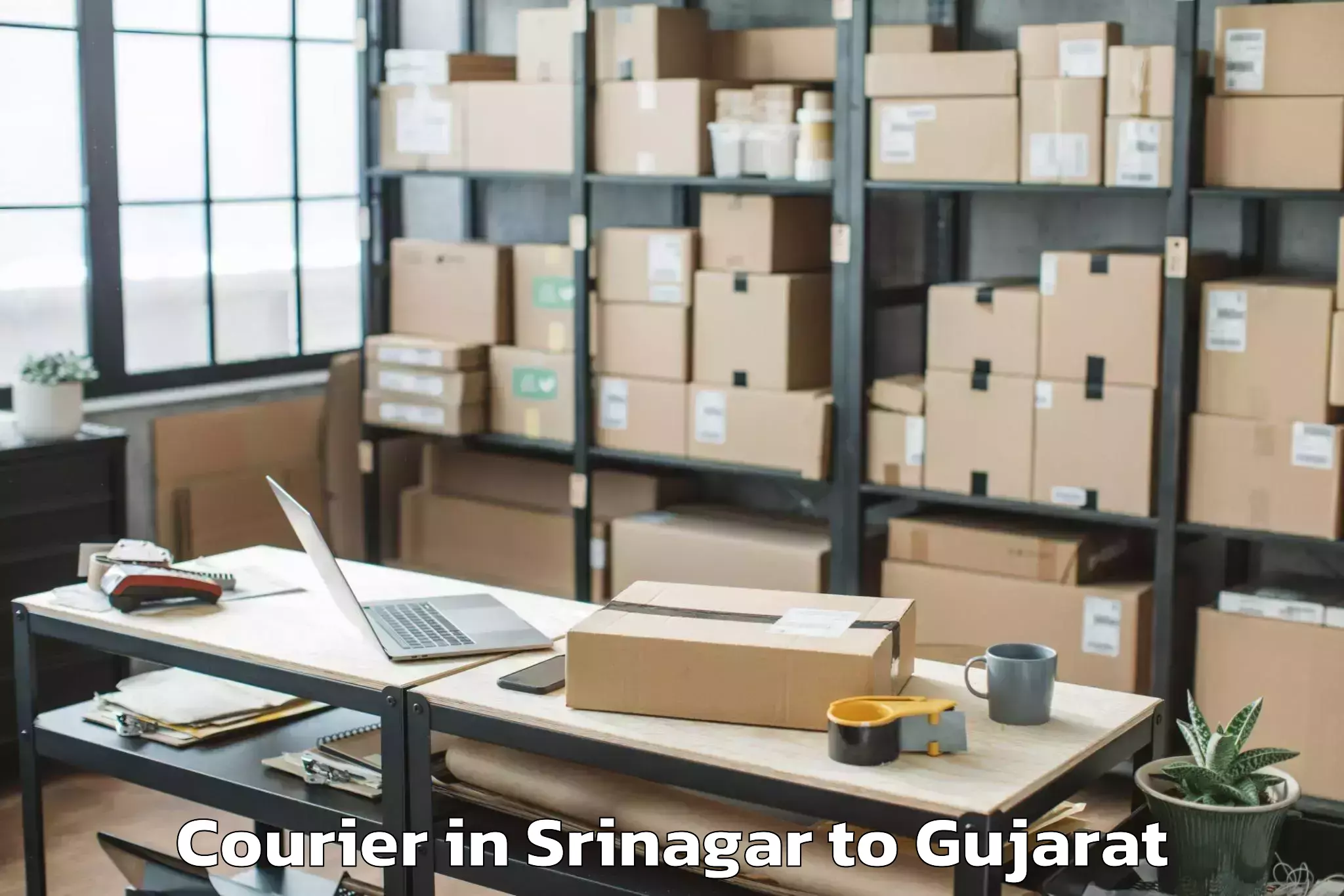 Professional Srinagar to Dahej Port Courier